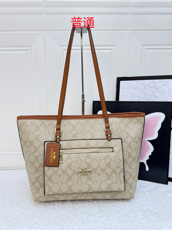 Coach bag-0407
