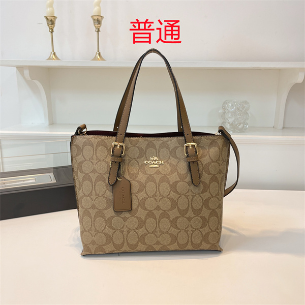 Coach bag-0424