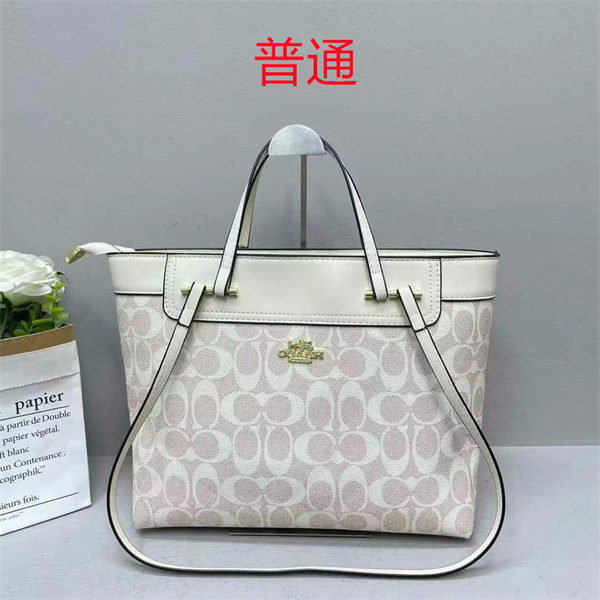Coach bag-0425