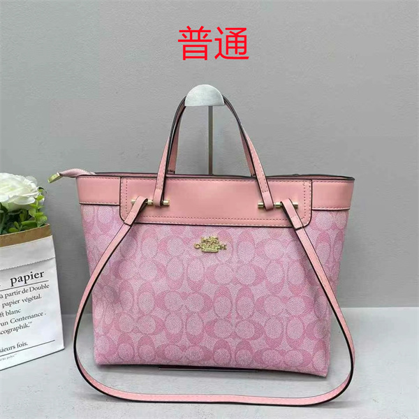 Coach bag-0426