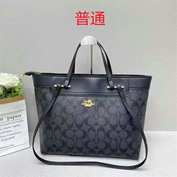 Coach bag-0429