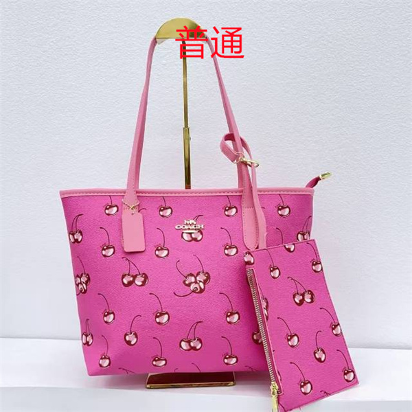 Coach bag-0431
