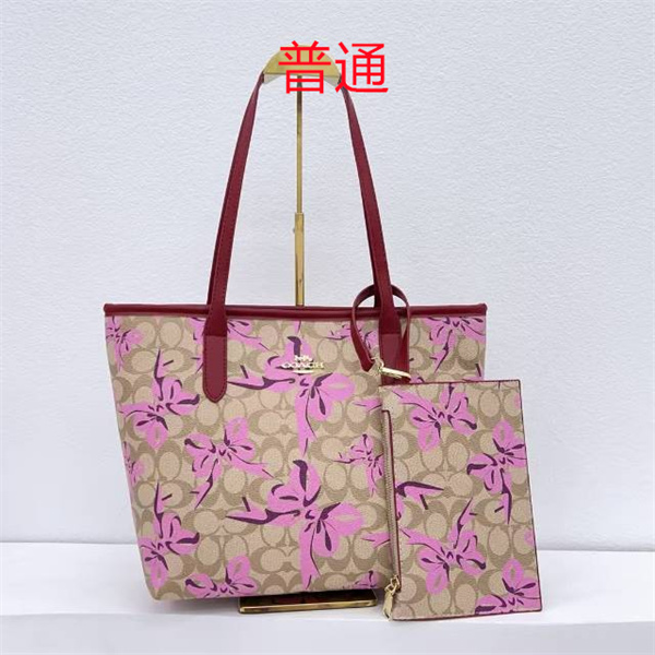 Coach bag-0434