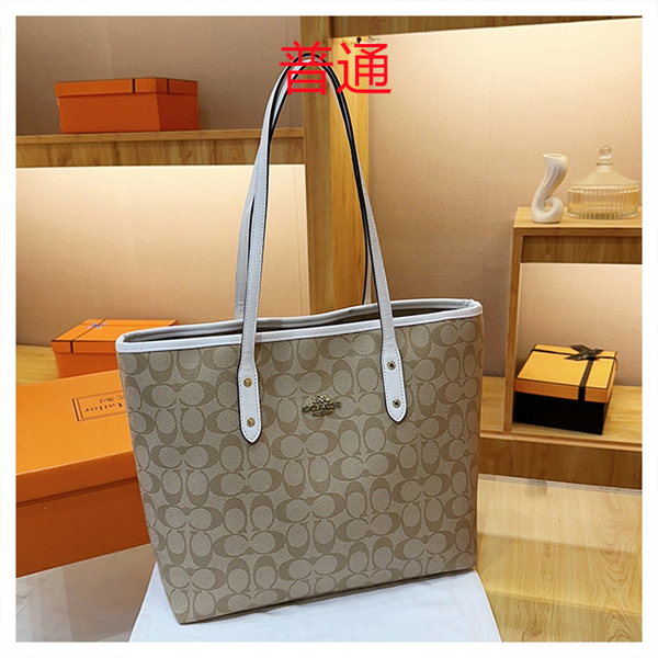 Coach bag-0437