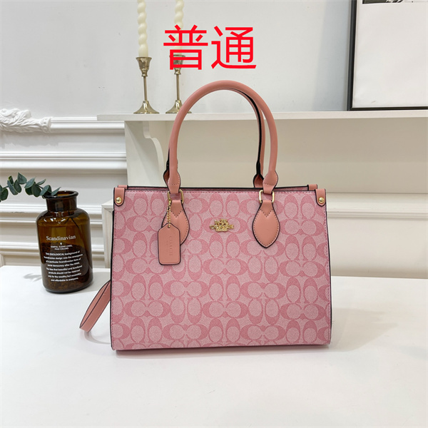 Coach bag-0439