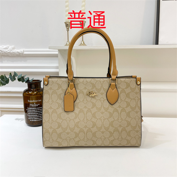 Coach bag-0444