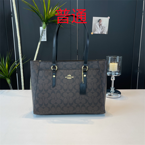 Coach bag-0446