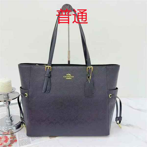 Coach bag-0462