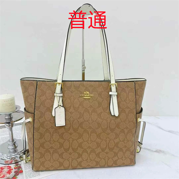 Coach bag-0467