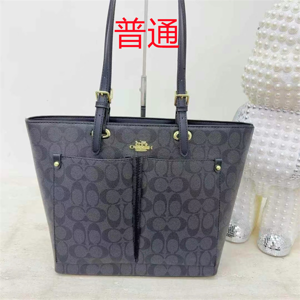 Coach bag-0472