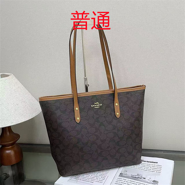 Coach bag-0478
