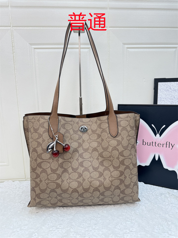 Coach bag-0481