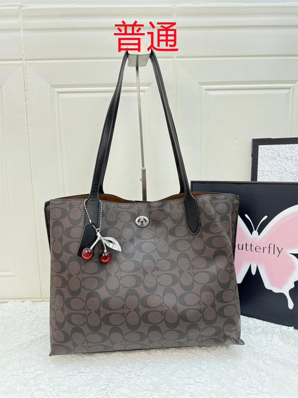 Coach bag-0483