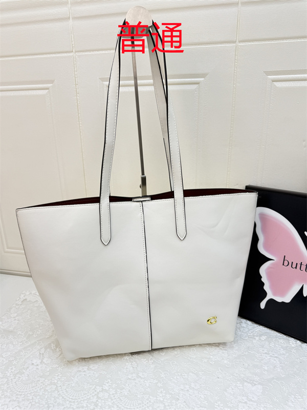 Coach bag-0491