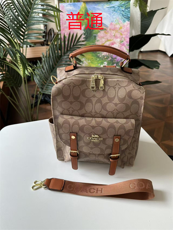 Coach bag-0498