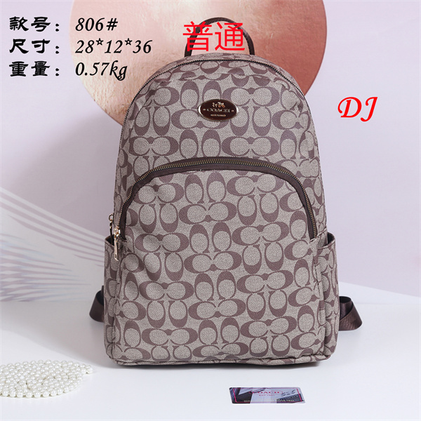 Coach bag-0051