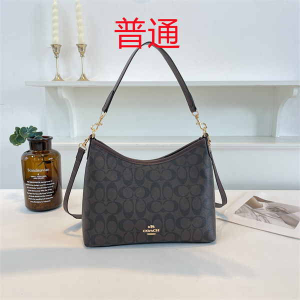 Coach bag-0511