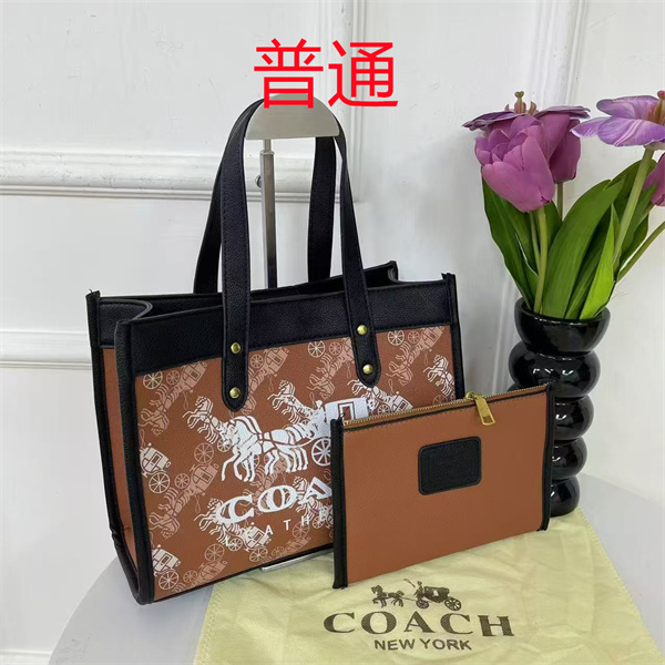 Coach bag-0545