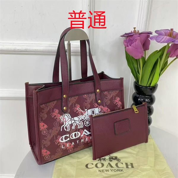 Coach bag-0548