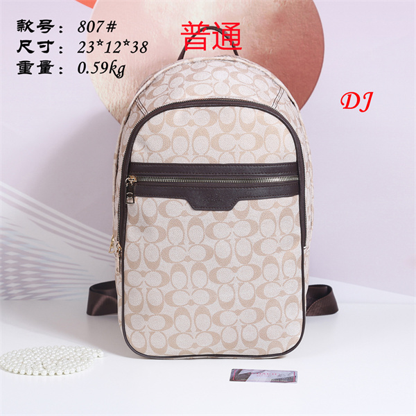 Coach bag-0055