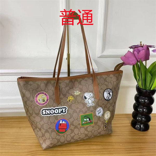 Coach bag-0550