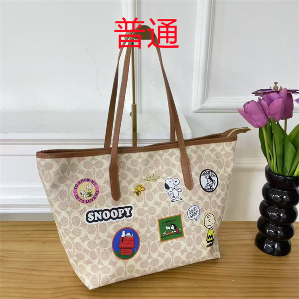 Coach bag-0552