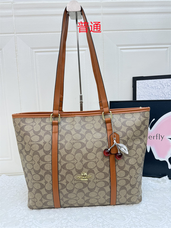 Coach bag-0555