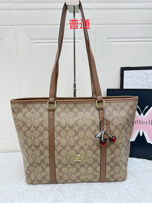 Coach bag-0557