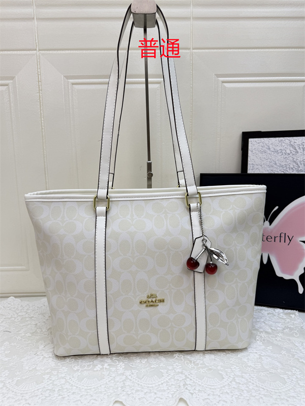 Coach bag-0560