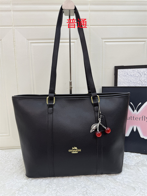 Coach bag-0561