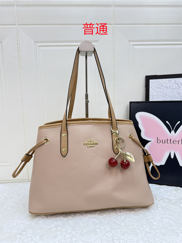 Coach bag-0573