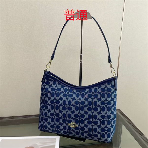 Coach bag-0576