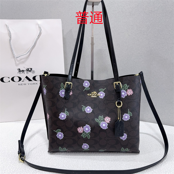 Coach bag-0580