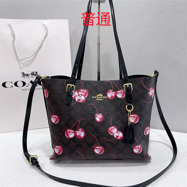 Coach bag-0581