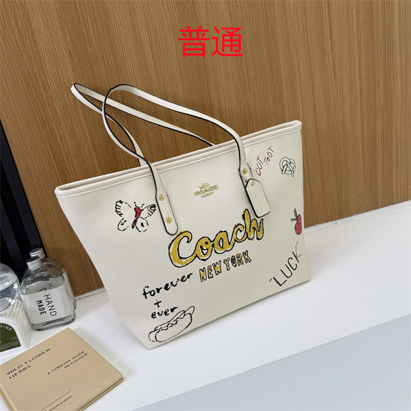 Coach bag-0583