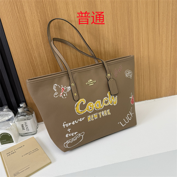 Coach bag-0585