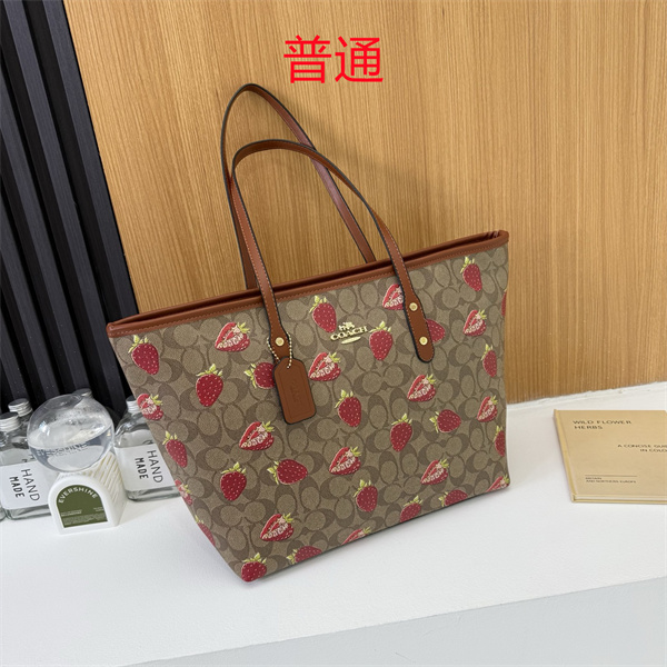 Coach bag-0592