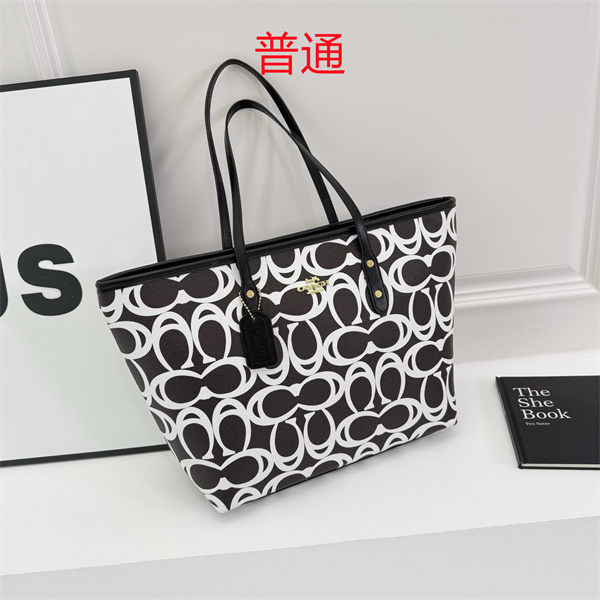 Coach bag-0594