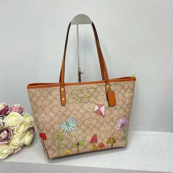 Coach bag-0060