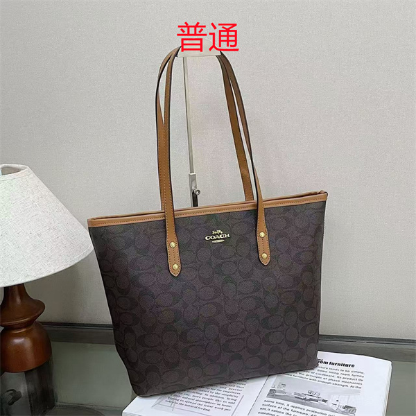Coach bag-0600