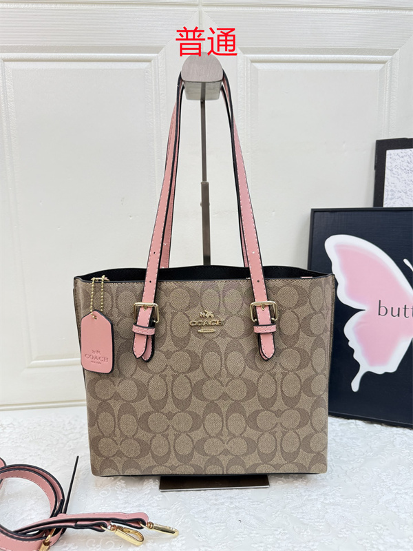 Coach bag-0617