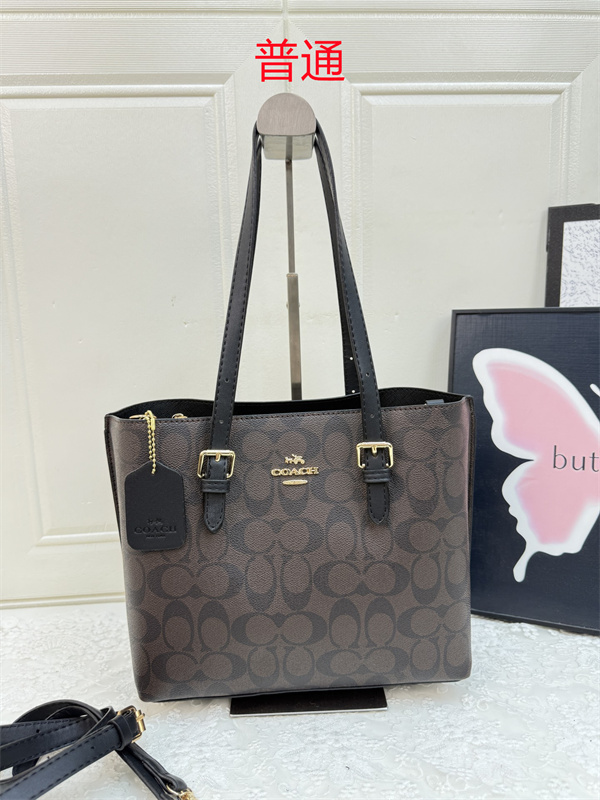 Coach bag-0622