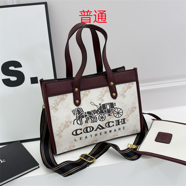 Coach bag-0625