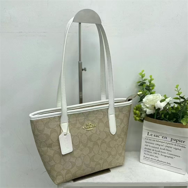 Coach bag-0064