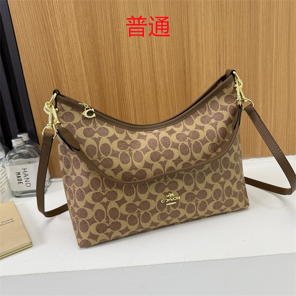 Coach bag-0642