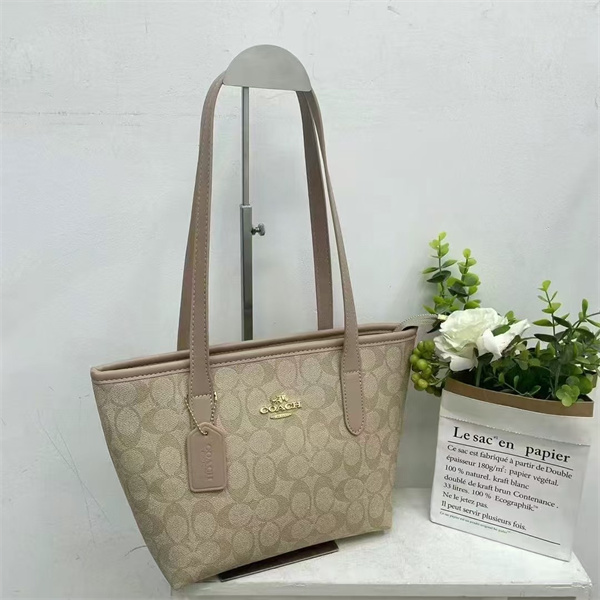 Coach bag-0065