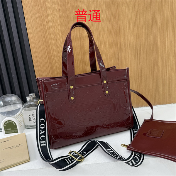 Coach bag-0650