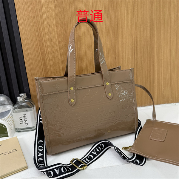 Coach bag-0653