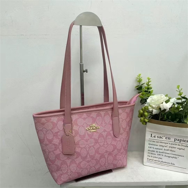 Coach bag-0070