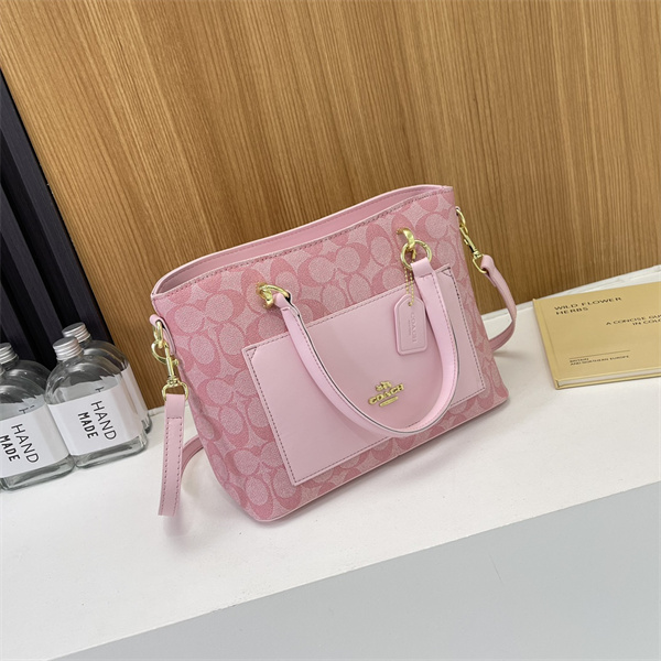Coach bag-0098